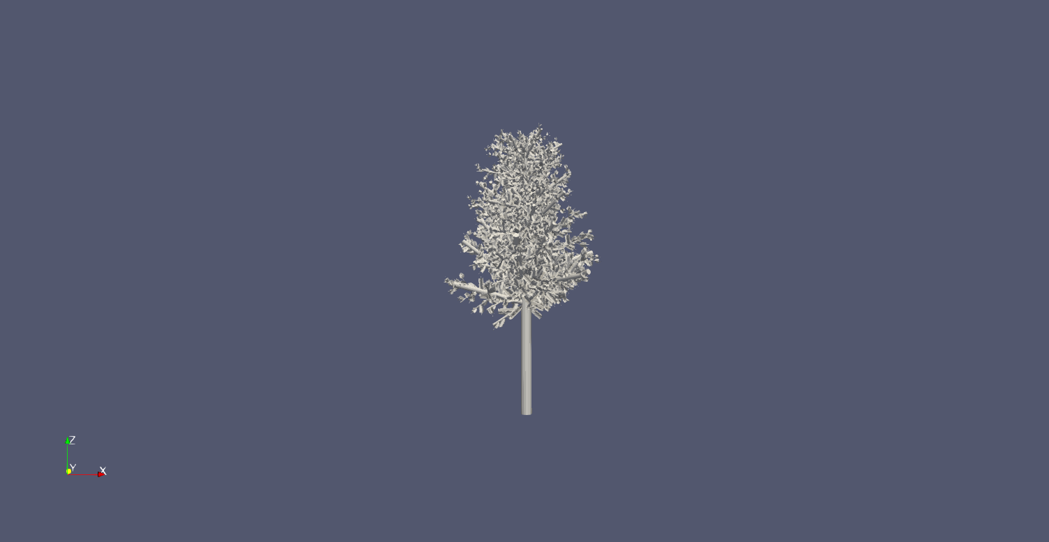 quaking aspen wp